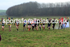 Girls under-15s 2022 North Eastern Harrier League, Thornley Farm, Peterlee, County Durham. Photo: David T. Hewitson/Sports for All Pics